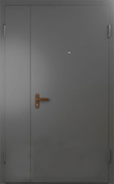 Фото двери «Техническая дверь №6 полуторная» в Яхроме
